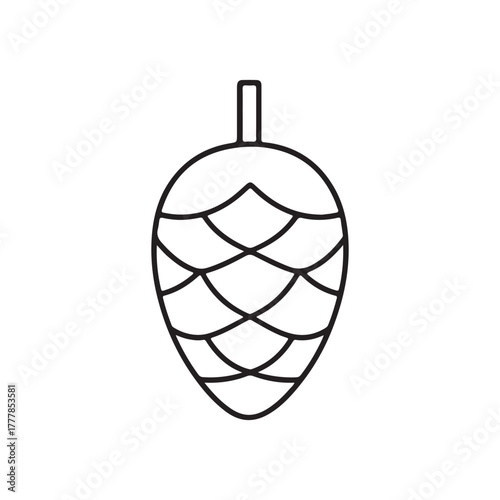  Pinecone