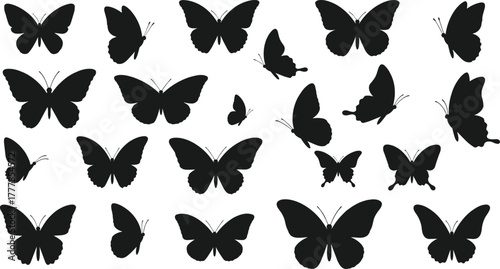 Butterfly silhouettes, insect shapes, black butterfly icons, wing diversity, nature outlines, flying insects, butterfly species, vector set, fauna design, graphic pack