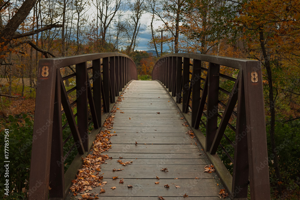 Obraz premium wooden bridge in the forest