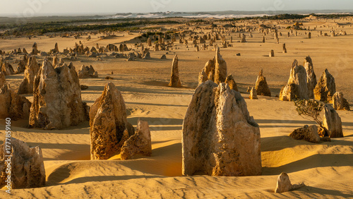 pinnacles in the desert of nambung national park, australia