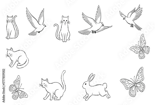 Collection of hand-drawn animals including cats birds butterflies and a rabbit simple line art vector illustration isolated on white