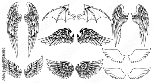 Collection of different types of wings including angel and demon wings in black and white drawing style