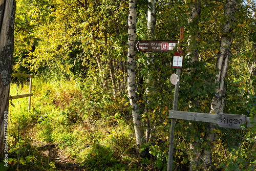 Wooden trail direction sign cross St. Olavsleden pilgrimage route in Sweden