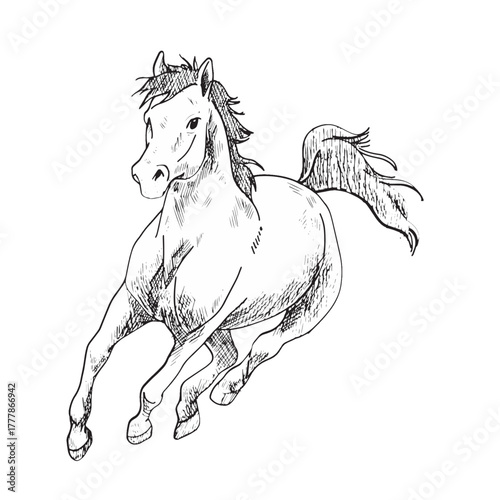 Horse different style silhouette vector design in white background