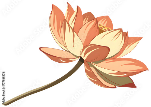 Delicate peach lotus flower isolated on transparent background