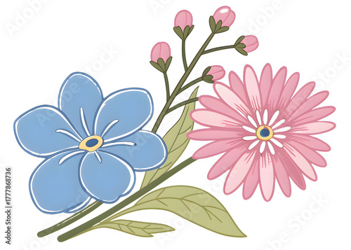 Delicate blue forget me not and pink daisy flowers isolated on transparent background