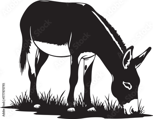 Silhouette of a donkey grazing in grass barnyard animal farm domestic equine silhouette