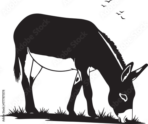 Silhouette of a donkey grazing peacefully in a field with distant birds flying
