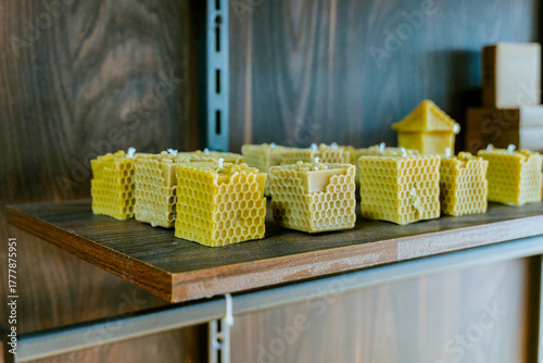Beekeeper working collect honey. Beekeeping concept.