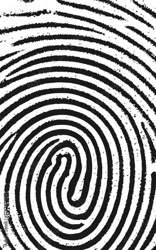 An abstract fingerprint design with a grunge texture background. Vector fingerprints Transparent background.