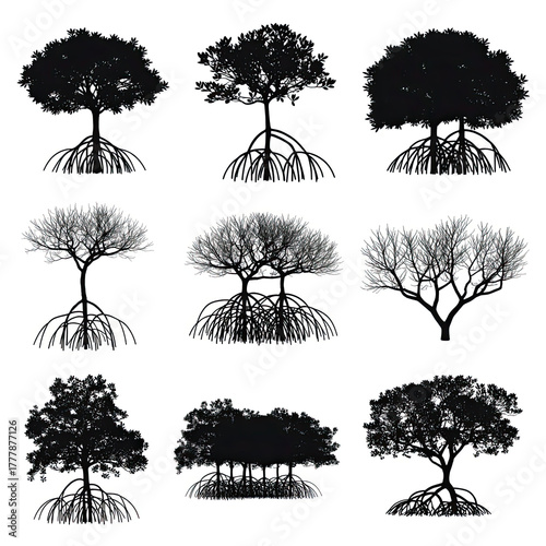 Collection of nine black silhouette mangrove trees with exposed root systems, isolated on white background.