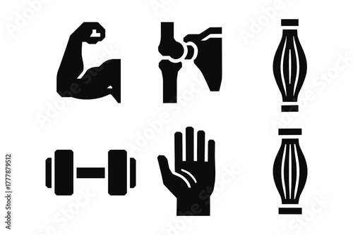 Silhouette gym icons set: muscles, joints, dumbbell, hand, fitness elements