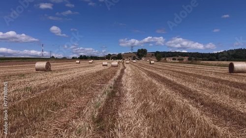 hay bales under a blue sky, farmland bordered by trees.