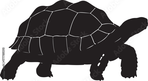 Silhouette of a large tortoise walking with its shell turtle reptile also transparent background