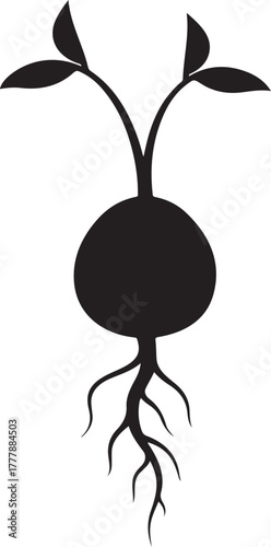 Black silhouette of a sprouting seed with roots and leaves seedling germination