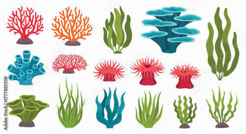 Colorful underwater coral reef seaweed anemone vector collection marine life ocean sea flora aquatic ecosystem nature design flat illustration