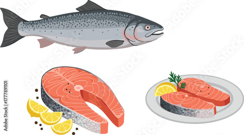 Salmon fish, raw salmon steak, cooked salmon dish, seafood illustration, culinary progression, gourmet meal, healthy food, kitchen art, nutrition, protein
