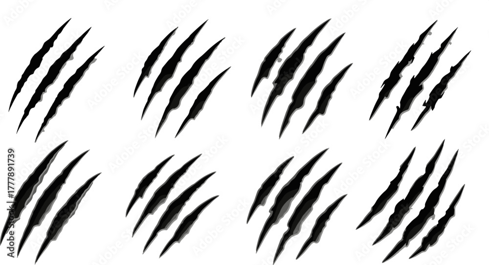 Fotografie Set of Claw Marks on White Background, Animal Scratch