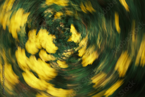 The image is blurry and has a yellowish tint