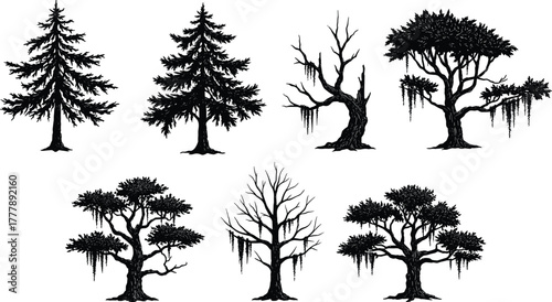 Tree silhouette collection, coniferous and mossy trees, leafless branches, black nature icons, seasonal forest shapes, botanical design elements