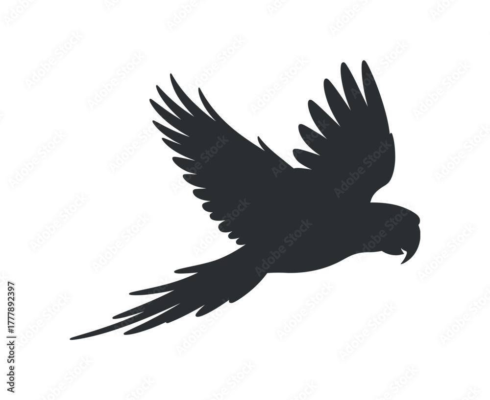 Obraz premium Parrot Silhouette Flying Bird Vector Tropical Wildlife Fauna