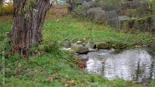Foto A small stream flows over rocks