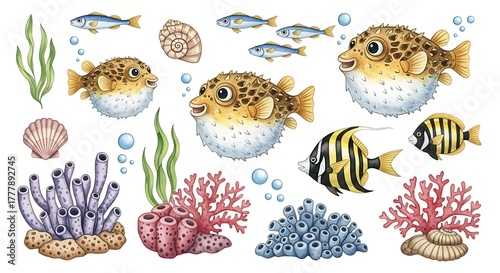 Underwater graphic design bundle featuring smiling pufferfish, blue schooling fish, striped angels, and purple and blue corals
