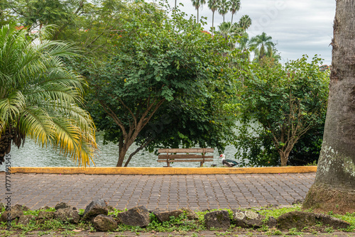 Peaceful Park Bench and Muscovy Duck by the Lakeside at Lagos de las Ánimas in Xalapa, Veracruz, Mexico