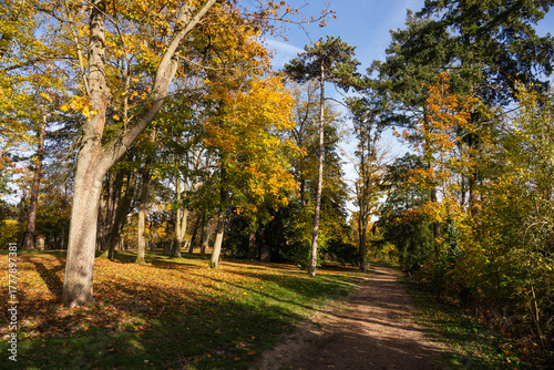 Rochusberg, November 2025