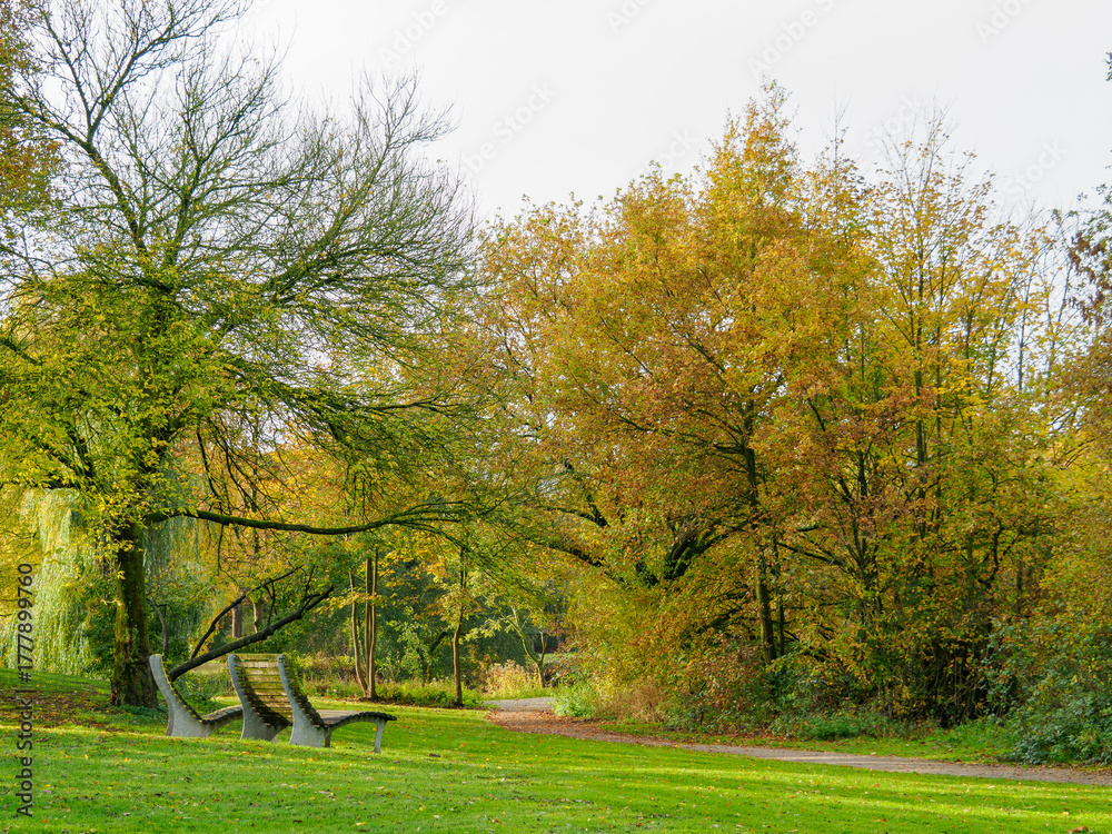 Fototapeta premium Herbst am See