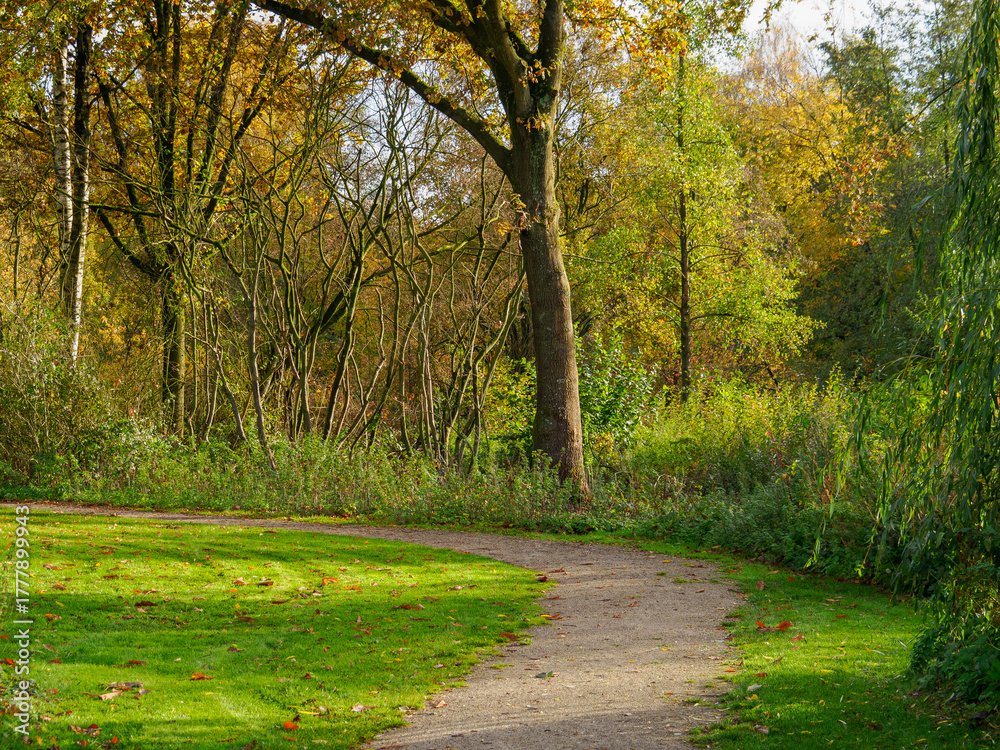 Naklejka premium Herbst am See