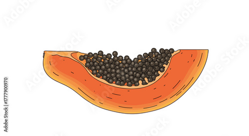 A vibrant papaya slice showcases its rich orange flesh and a cluster of black seeds, creating a visually appealing tropical fruit depiction.