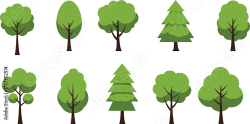 Stylized tree illustrations, nature clipart, forest elements, botanical icons, foliage design, educational graphics, seasonal trees, vector set, landscape assets