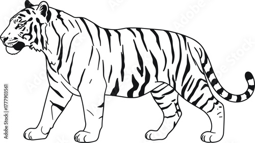 Tiger line drawing, black and white sketch, wildlife illustration, jungle animal, majestic predator, side profile, nature art, conservation symbol