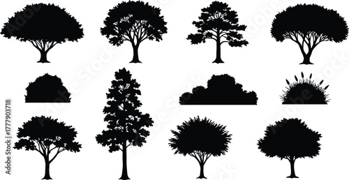 Tree silhouettes, botanical shapes, forest icons, nature design elements, landscape trees, shrub forms, foliage diversity, environmental art, vector illustration, black graphic