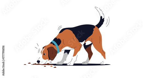 A playful and curious dog with a blue collar, possibly a beagle, is intently sniffing the ground.