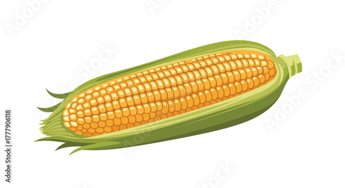A brightly colored illustration of a single ear of corn, featuring rows of golden-yellow kernels peeking from its green husk.