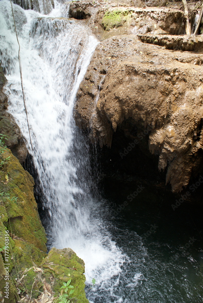 Obraz premium waterfall in the forest