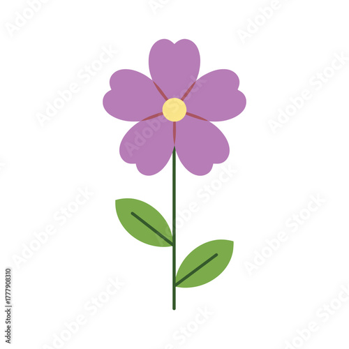 Purple flower with a vibrant yellow center, verdant green stem, and lush leaves on a white background