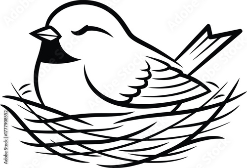 Charming hand drawn illustration of a small bird resting peacefully in its nest