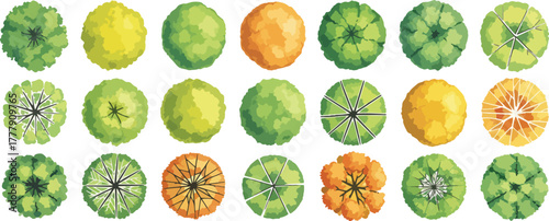 Overhead view of various tree shapes and colors, , for architectural and landscape design plans