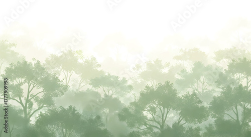 Misty forest landscape with trees shrouded in fog, creating a serene and atmospheric scene, perfect for backgrounds and wallpapers