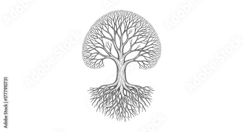 Tree of Life Outline with Elaborate Roots and Branches on Isolated White Background, Nature Symbolism and Growth