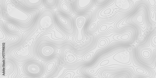 Grey contours vector topography geographic mountain relief isolated on texture background, abstract wavy and curved lines topographic map contour art seamless pattern terrain background.