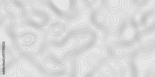 Grey contours vector topography geographic mountain relief isolated on texture background, abstract wavy and curved lines topographic map contour art seamless pattern terrain background.