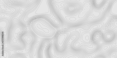 Grey contours vector topography geographic mountain relief isolated on texture background, abstract wavy and curved lines topographic map contour art seamless pattern terrain background.