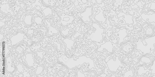 Grey contours vector topography geographic mountain relief isolated on texture background, abstract wavy and curved lines topographic map contour art seamless pattern terrain background.
