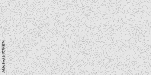 Grey contours vector topography geographic mountain relief isolated on texture background, abstract wavy and curved lines topographic map contour art seamless pattern terrain background.