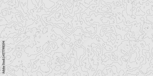 Grey contours vector topography geographic mountain relief isolated on texture background, abstract wavy and curved lines topographic map contour art seamless pattern terrain background.