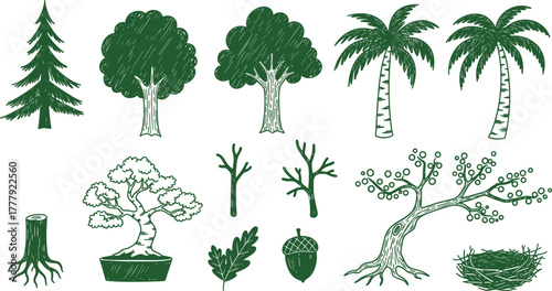 Green hand-drawn tree illustrations: variety of tree types and parts on transparent background